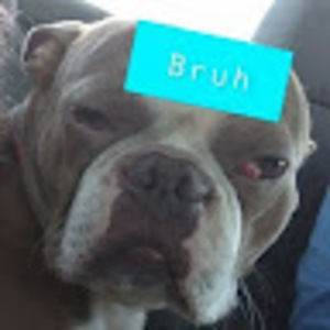 Meet your Posher, Eden